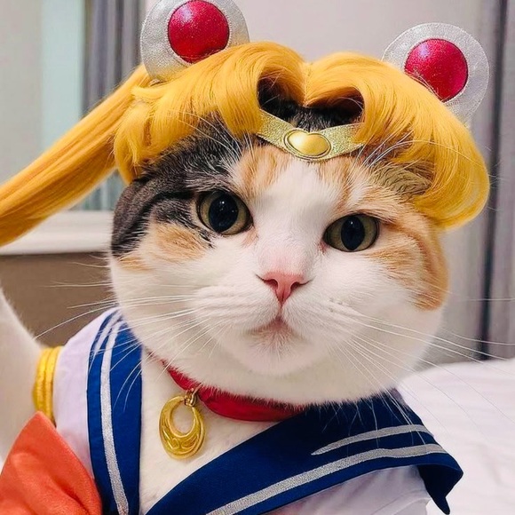 pkcharun123